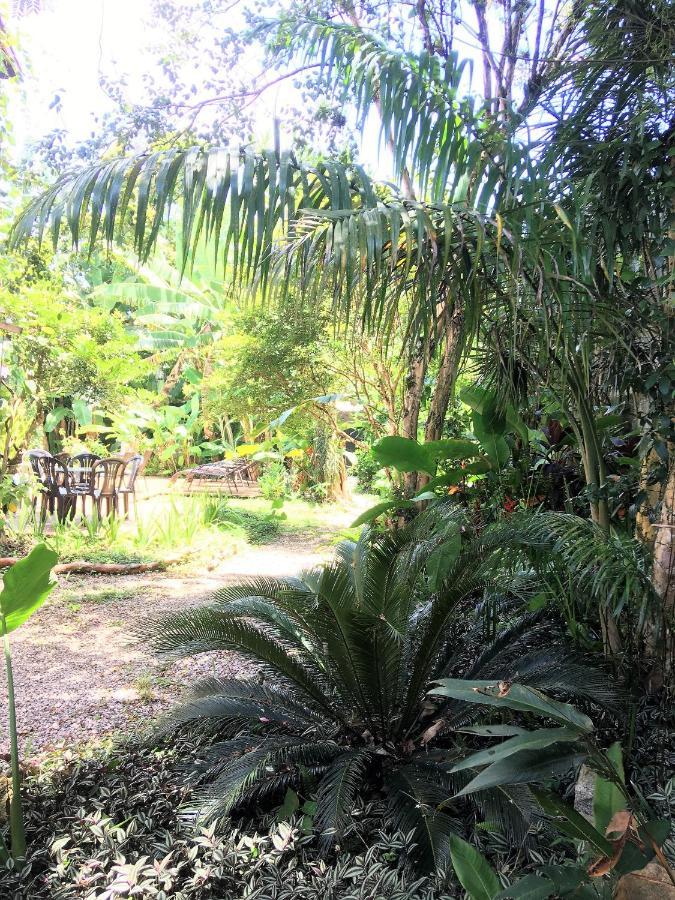 Jatai Guest House Ubatuba Bagian luar foto